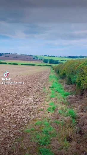 Exploring the World of Hare Coursing with Luca