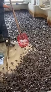 Crab farming to the next level! | Rowem Tigtig | Facebook
