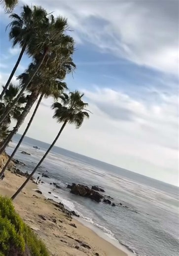 mylife (@_mylife_usa)’s videos with оригинальный звук - mylife