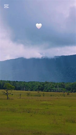 It won't be long. Enjoy the simple things.#guyana🇬🇾 #indigenoustiktok #kapohn