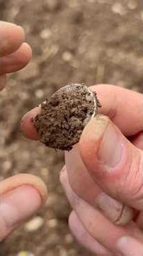 HUGE SILVER! Metal Detecting in Scotland