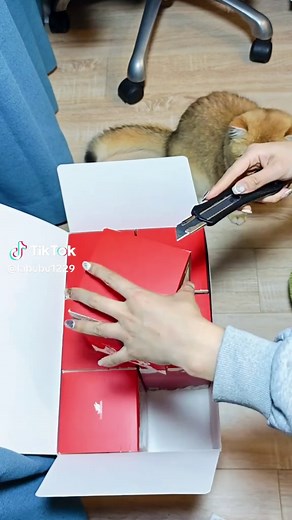 Unboxing Labubu x Coca-Cola Keychain Collection