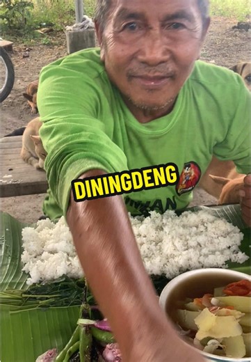 Electric Cooking Stove Review: Innovative Features