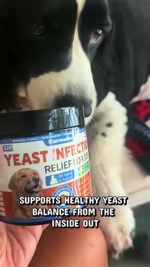 #backtoschool #sohochicCarmelie Yeast Infection Treatment for Dogs, 200 Chews Yeast Balance Healthy Itch Relief, Ear & Paw Odor Care, Allergy Supports, Helps Relieve Yeast Overgrowth, Chinken Flavor, Safe for All Ages Dogs
