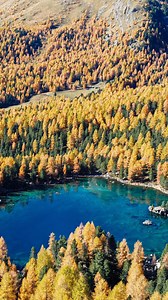 1.9K views · 35 reactions | Best Swiss canton to see in autumn...