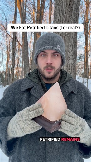 Titans? Or just salt deposits? (It can be both) Thoughts? Follow for more | Connecting Consciousness