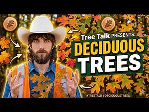 Deciduous Trees - Tree Talk