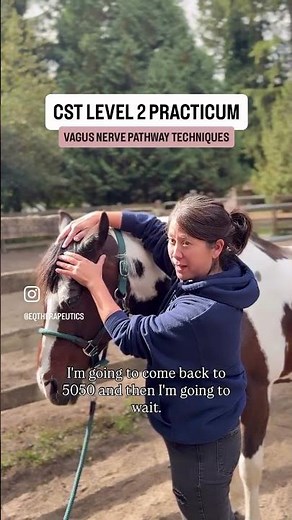 Learning the Vagus Nerve Pathway in Equines | A Glimpse Into Our Live Practicums