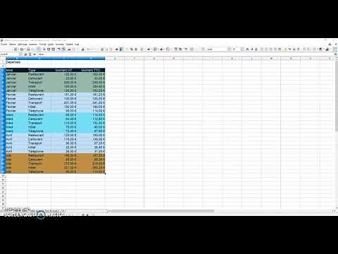 Réaliser des tableaux croisés dynamiques Libre Office CALC