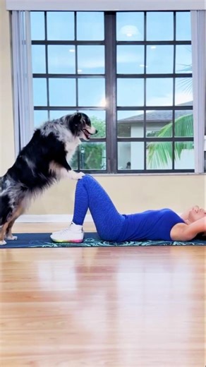 My Dog Became a Fitness Coach 💪🐶😂 Full Routine! #dogshorts
