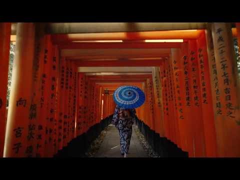 Cyberpunk Tokyo's Neon Maze: The Ultimate Zero-Stress VIP Luxury Guide