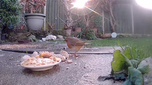 Wishing everyone beautiful weekend from west Wales 💫💜💫⛰️❄️🏴󠁧󠁢󠁷󠁬󠁳󠁿🍂🍁#Robin Bach ✨💫✨