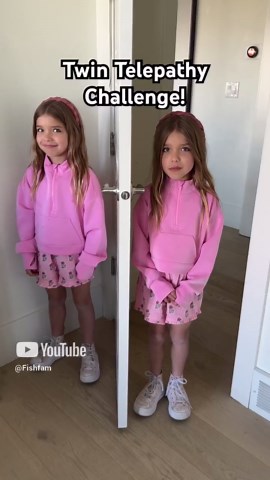 Twin Telepathy Challenge: Mind Connection Test