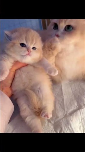 i love you ramadhan🥰🥰🥰🥰