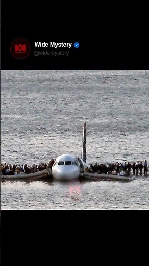 The Miracle Landing of Flight 1549 ✈️ | The Plane That Defied Death