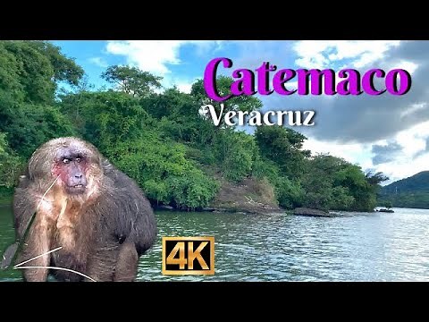 🏝️ Monkey 🙉 Islands in Catemaco veracruz/ 🚣 boat adventure