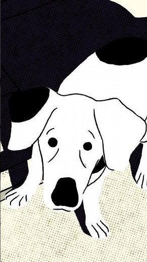 LAIKA; An Animated Short Film | TRAILER #animation #space #dog