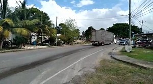 12K views · 155 reactions | 186 heads of cattle valuing over $200,000 was exported from Belize in to Mexico on Tuesday, December 7, 2021. The cattle were transported in 2 trucks by Su Karne, a Mexican company from Michoacan, Mexico. | Breaking Belize News | Facebook
