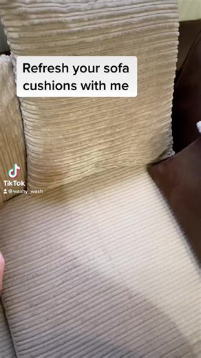 Deep Cleaning Cushion Life Hack