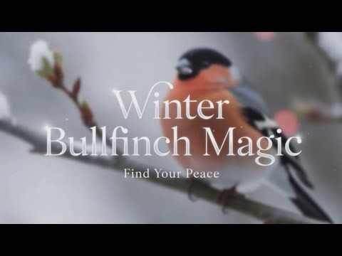 ✨ Just a Few Minutes — Feel the Romance 🌸Flute Music for Romance, Peace, and Harmony