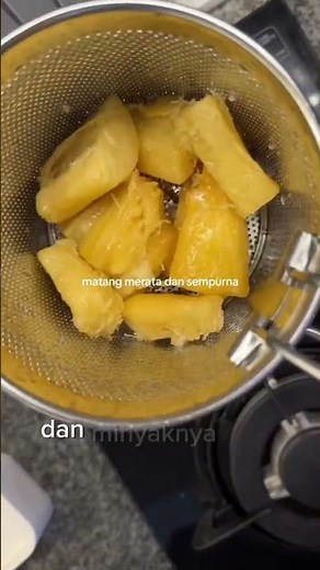 Mini Deep Fryer 2in1 Stainless