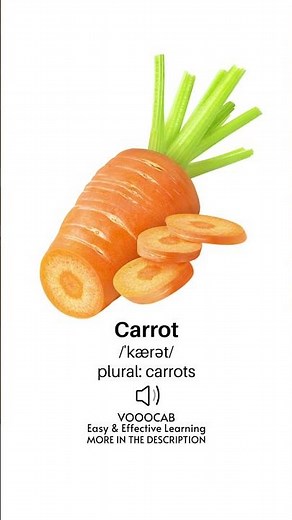 Carrot - Pronunciation, English Phonetic Transcription, Plural Form