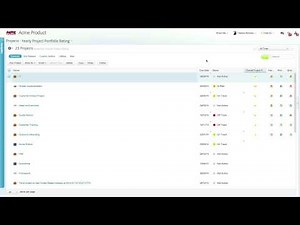 Clarizen V6 Video Tutorial - Custom Fields