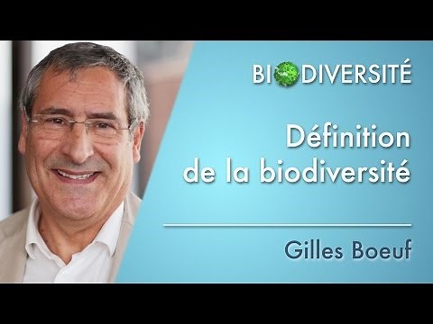 Définition de la biodiversité