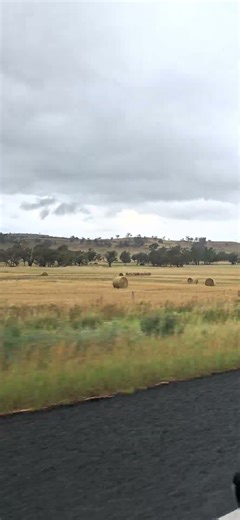 Driving Through New South Wales 😍#HighwayViews #NSWNature #AustraliaBeauty #ScenicDrive #Shorts