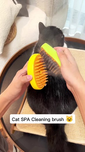 Cat Steam Brush: Grooming Your Feline Friend