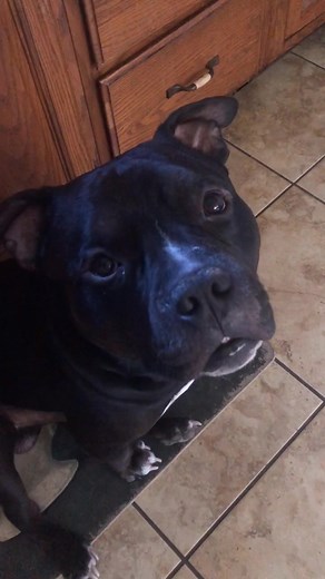 Furniture Makeover with Chalk Paint: Transforming Tables