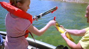 52K views · 323 reactions | The Internet Is Going Crazy Over This! | As Seen On TV Offers | Facebook