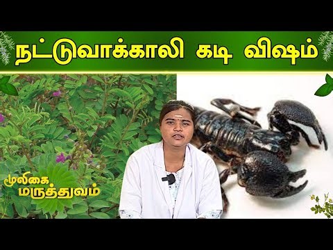 நட்டுவாக்காளி கடி விஷம் | Mooligai Maruthuvam | Nattuvakali Kadi | Scorpion Bite | Vendhar TV
