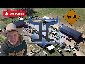 I Visited a Swartzentruber Amish Sale and Discovered Something Amazing