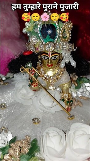 हमसे पर्दा करो न बिहारी 🦚❤️🙌 #bhakti​ #vrindavan​ #radhekrishna​ #krishna​ #shorts​ #viral​