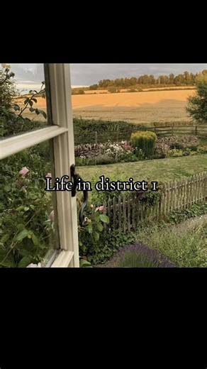 Exploring Life in District 1 of The Hunger Games