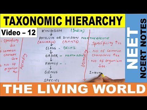 Taxonomic Hierarchy | 7 Obligate Categories of Taxonomic Hierarchy | The Living World | NEET 2021 |