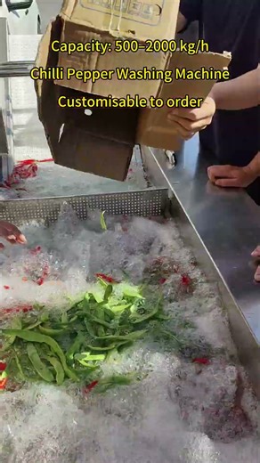 Chilli Pepper Washing Machine vegetable washing machine Bubble washing machine