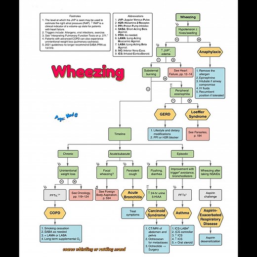 18K views · 124 reactions | Wheezing | abnormal lung sound | Med G | Facebook