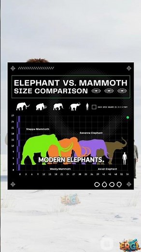 How Big Were Mammoths? 🐘🦣 You Won’t Believe the Size! #iceagegiants #mammothfacts #animalcomparison