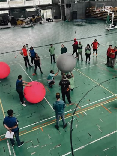 Carolina Arcos Mansilla on Instagram: "Juego de alianza con el deporte Kin Ball 👌🏼#ejercicio #kinball #kinballparatodos"