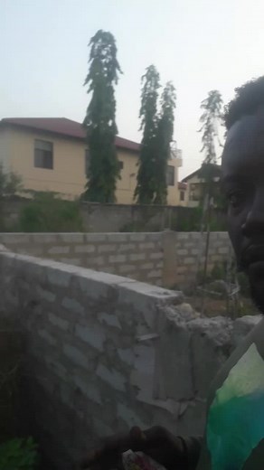 Bold Star (@bold.star6)’s videos with original sound - Bold Star