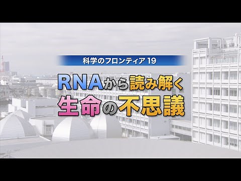 科学のフロンティア19 RNAから読み解く生命の不思議