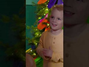 AQUATICA - ILLUMINATE 2025 (REVIEW)