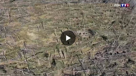 #hérault #niels #béziers #le20h #tempête | Théo Thomas