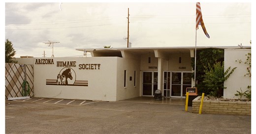 Arizona Humane Society reopening closed Sunnyslope campus due to 'chronic' overpopulation issue