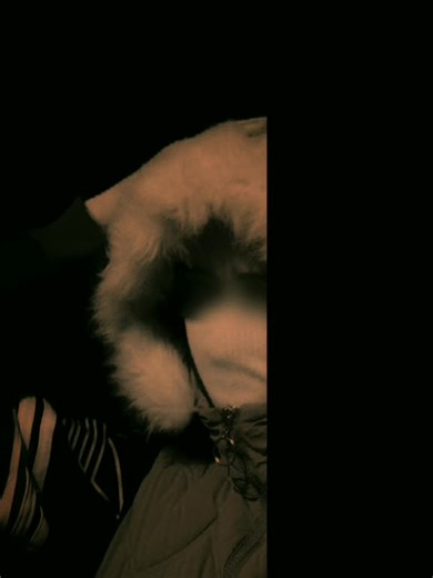 Vidéos de Sara Algeria (@sara_free_fire18) avec son original - HAMOU🪬
