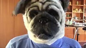 Don’t miss Caramel Corn The Pug (Harland Williams)’s first live comedy taping! He’s got two shows THU 6/22! Get your tickets now! Tickets Here: http://bit.ly/2s5EAbg | Irvine Improv