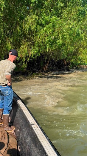 4.1M views · 10K reactions | Tree shaka!!!!!!! #swamppeople #alligators #gator #troylandry Jacob Landry (swamp People)Troy Landry Duffy’s Gas Station Wiebe Knives Warthog Sharpeners USA Love The Landry's ( Swamp People ) Fan Group SWAMP PEOPLE - "Treeshakers" Don Brewer Ronnie Adams from Swamp People Chase Landry Swamp People Fans Troy Landry & Swamp People!!! Swamp People !!! Bruce Mitchell @ | Da Landry Life | Facebook