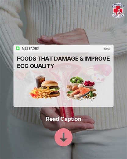 Foods that damage and improve egg quality